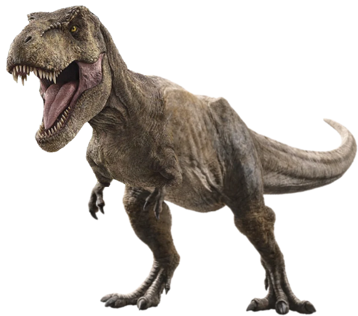 TRex