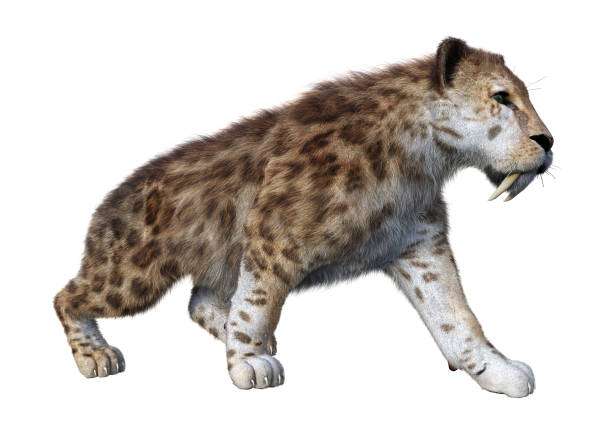 Extinct