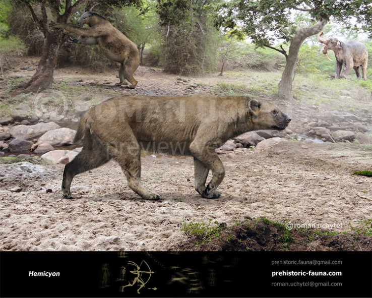 elephant Image 4