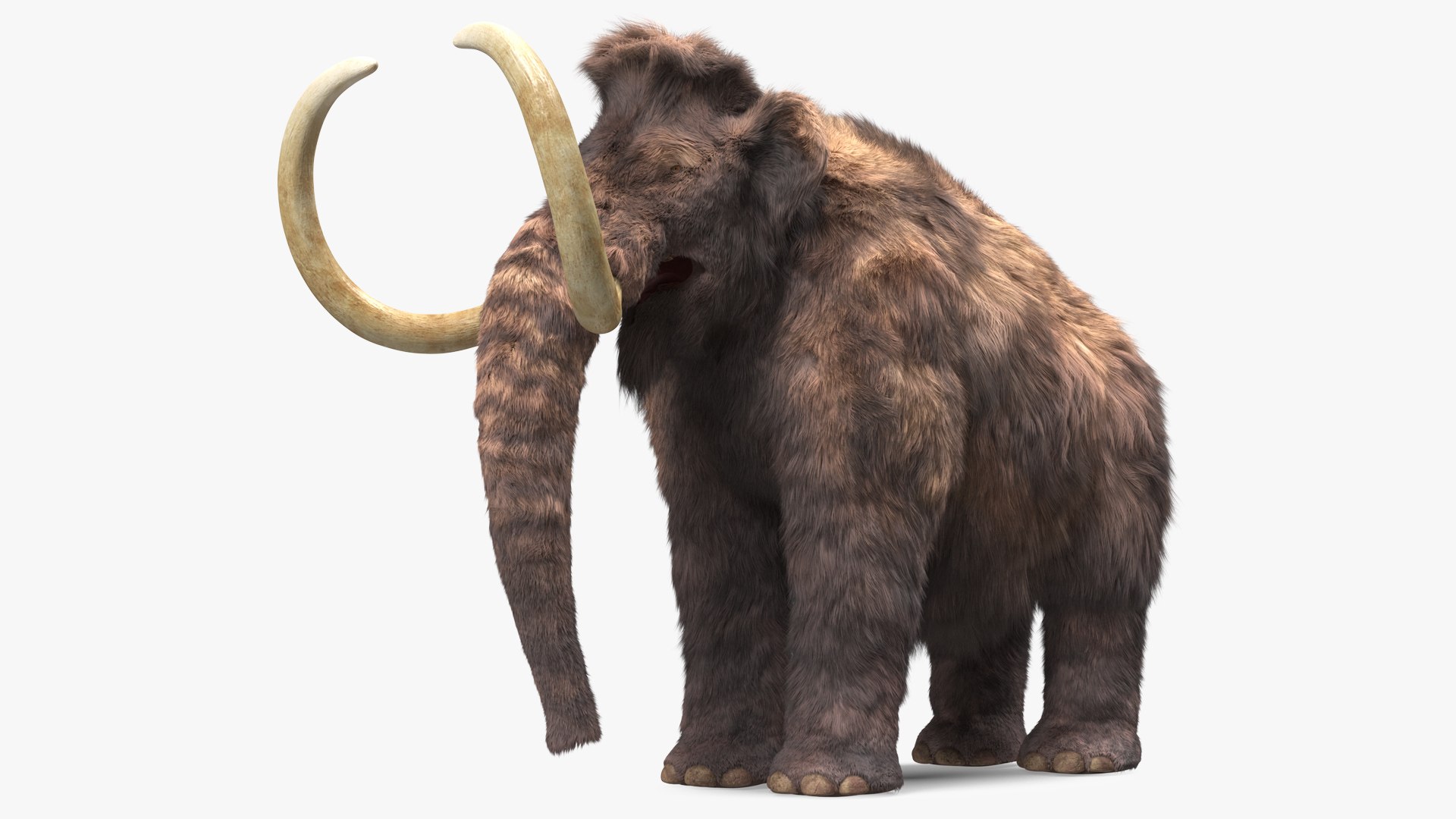 Mammoth